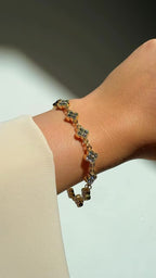 Compo Muse Buy 2 Get 1 Free
