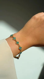 Compo Muse Buy 2 Get 1 Free