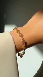 Compo Muse Buy 2 Get 1 Free